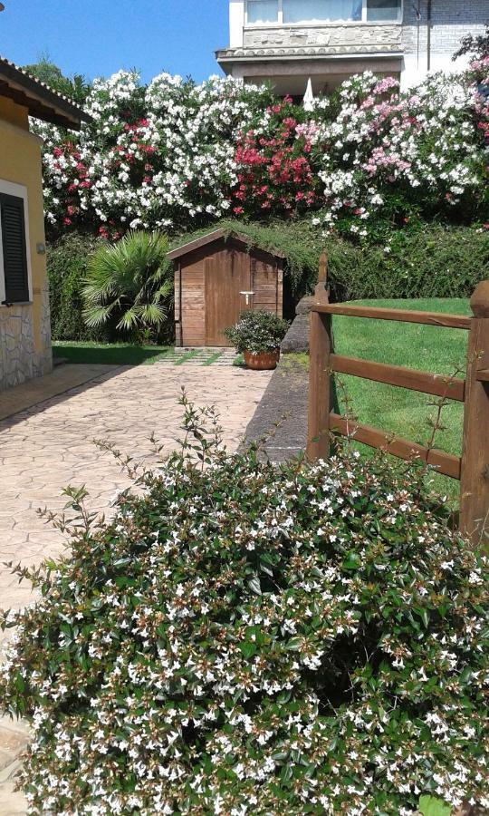 L'Infinito Bed & Breakfast Carbognano Eksteriør bilde