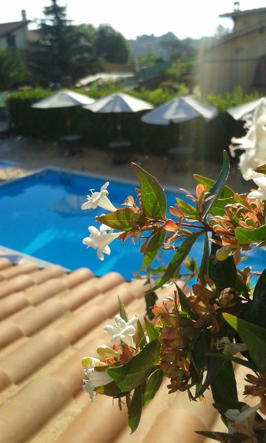 L'Infinito Bed & Breakfast Carbognano Eksteriør bilde